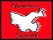 Stormchaser-Sauerland logo
