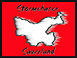 Stormchaser-Sauerland Logo