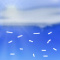Wettergrafik für Tag/tagsüber für ww-Code 76 (Eisnadeln)