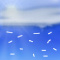 Weather graphics for daytime, for ww-Code 76 (Diamond dust (with or without fog))